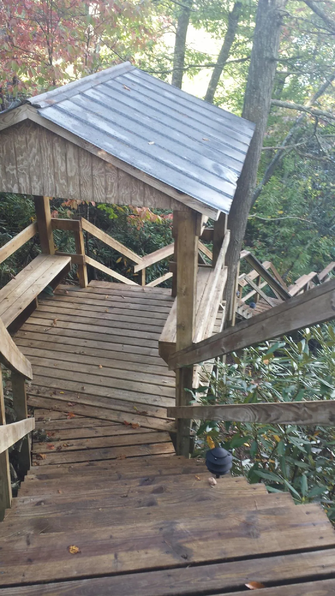 Metal roofed shelter over wooden steps on a wooded walkway — Skylight Repair & Installation work by our crew in Foss